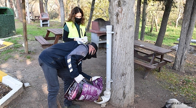 Balıkesir Büyükşehir Belediyesi'nden sokak hayvanlarına mama