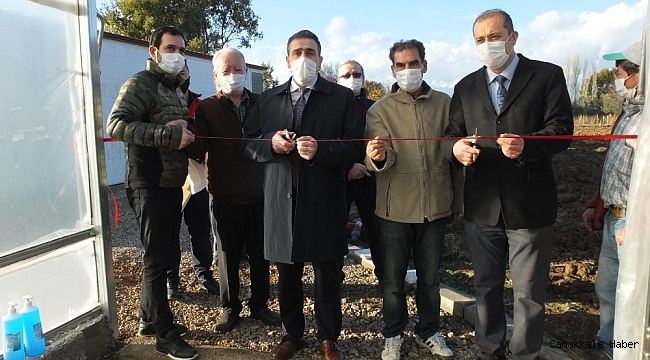 Balıkesir&#039;de topraksız çilek üretimine başlandı