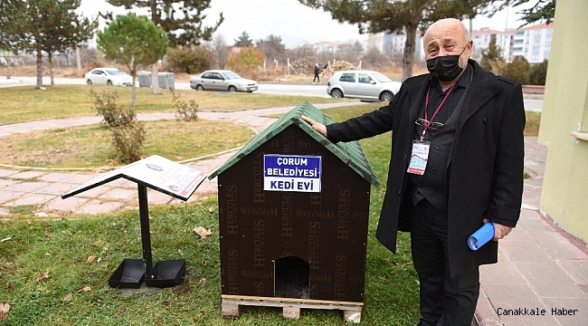 Başkan Aşğın sokağın hayvanlarına sahip çıktı
