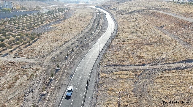 Başkan Çolakbayrakdar, &quot;110 farklı noktaya 100 bin ağaç diktik&quot;