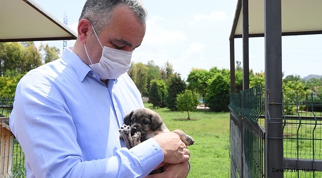Başkan Esen: &quot;Minik dostlarımızı yalnız bırakmadık&quot;