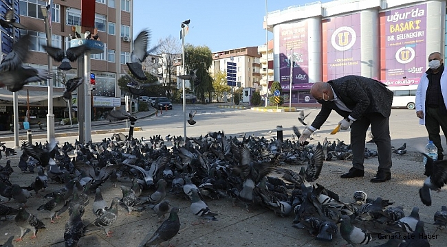 Başkan sokak hayvanlarını eliyle besledi