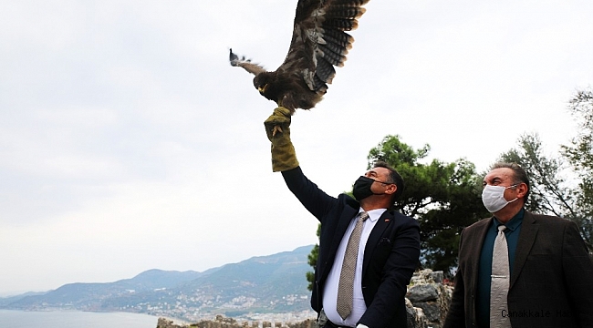 Başkan Yücel, tedavisi tamamlanan kartalı doğaya saldı