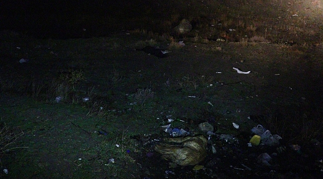 Başkent'te zehirlendikleri iddia edilen 6 köpek ölüsü bulundu