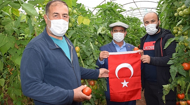 Başpehlivanlar domatese sahip çıktı