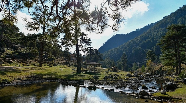 Başpınar Tabiat Parkı tam bir oksijen deposu