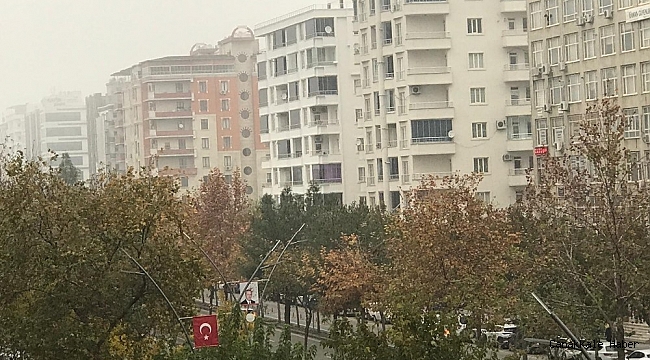 Batman&#039;da geçen ay 491 konut satıldı