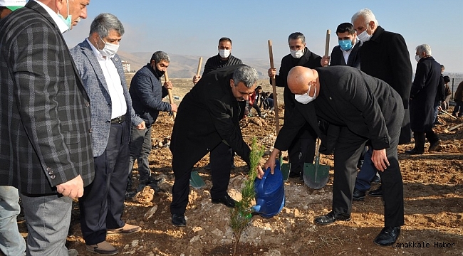 BATÜ&#039;de 10 bin fidanlık Şehit Yasin Börü Ormanı oluşturuldu