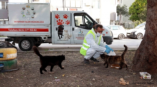 Bayraklı Belediyesi sokağa çıkma kısıtlamasında sokak hayvanlarını unutmadı