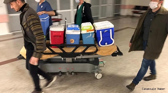 Beyin ölümü gerçekleşen hastanın organları 3 kişiye umut oldu