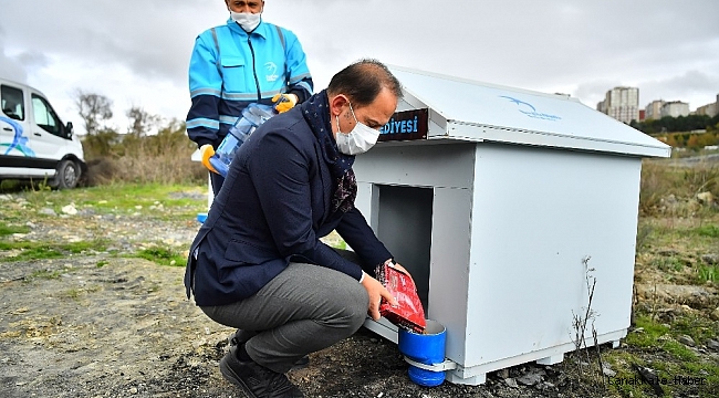 Beylikdüzü&#039;ne kış koşullarına uygun kulübeler yerleştirildi