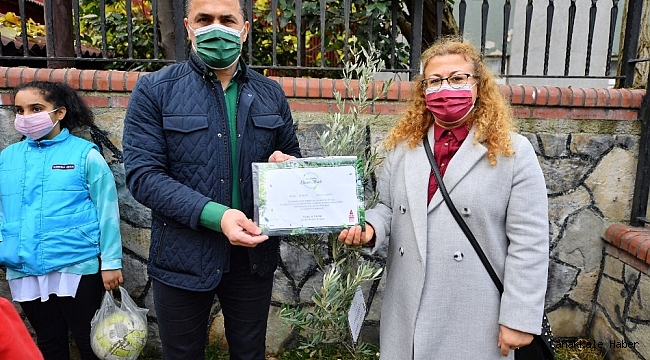 Beyoğlu&#039;nda yeni doğan her çocuk için bir zeytin fidanı dikiliyor