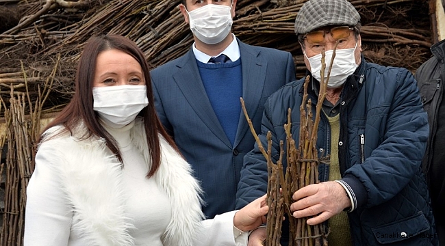 Bilecik&#039;te 110 bin ceviz fidanı toprakla buluşacak