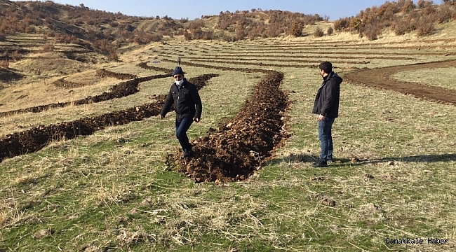 Bingöl&#039;de 210 dönümlük alana bal ormanı kuruldu