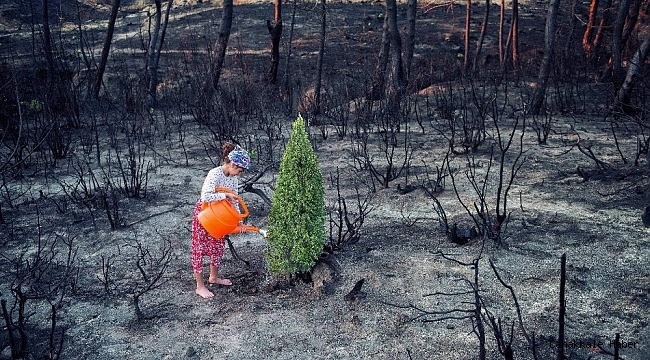 Bir fotoğrafçının gözünden: "Samandağ"