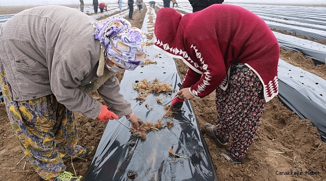 Bismil Belediyesi kadınlara yönelik iş ortamı oluşturmak adına &#039;Çilek Okulu&#039; açtı