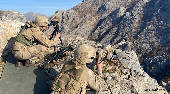 Bitlis'te "Yıldırım-16 Sehi Ormanları" operasyonu başlatıldı