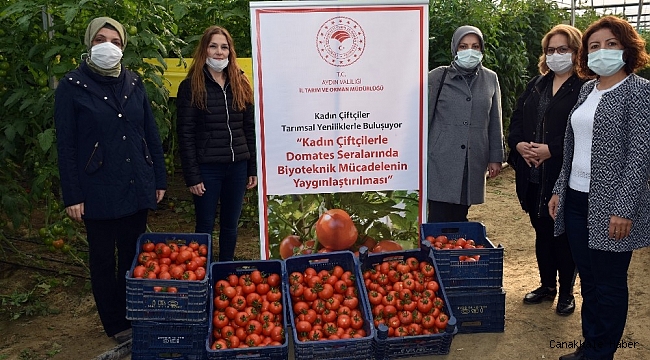 Biyoteknik mücadeleli serada hasat başladı