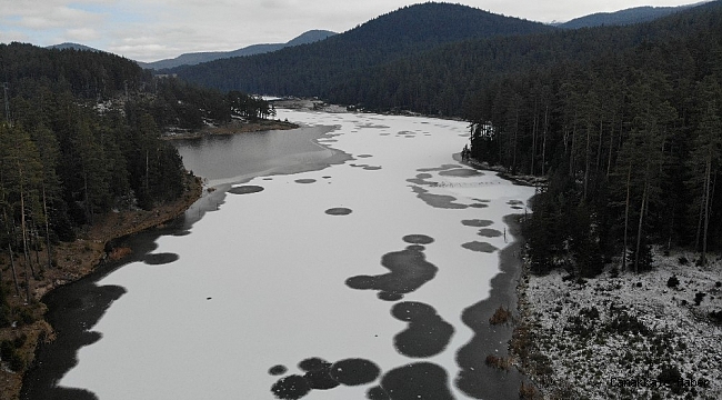 Bolu&#039;da Sarıalan Göleti buz tuttu