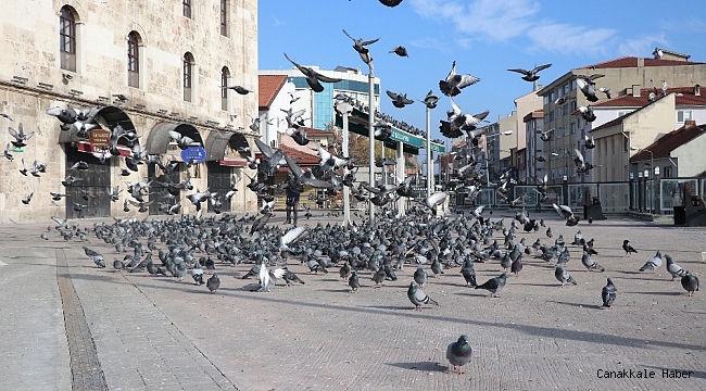 Bolu&#039;da sessiz kalan sokaklardaki güvercinleri polisler besledi
