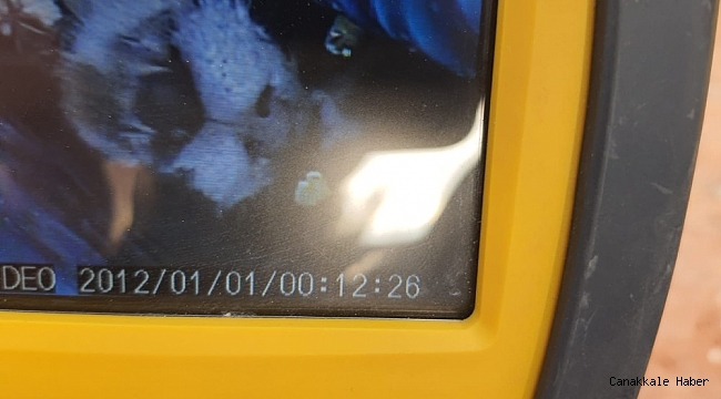 Borunun içine sıkışıp üzerine beton dökülen kedi 2 gün sonra kurtarıldı