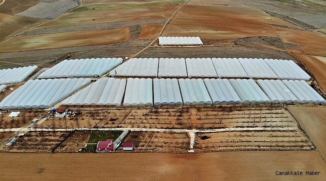 Bozkırın ortasında kurduğu seralarla kendi işinin patronu oldu