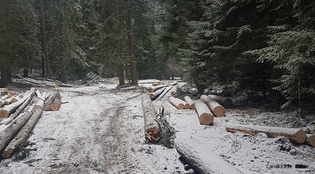 Bozüyük&#039;te mevsimin ilk karı yağdı