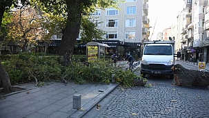 Budama Çalışması