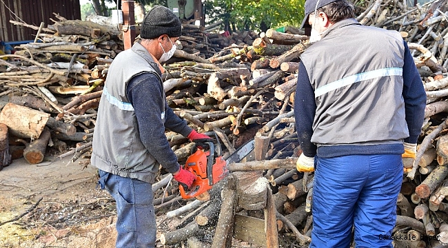 Budanan ağaçlar ihtiyaç sahiplerine yakacak oluyor