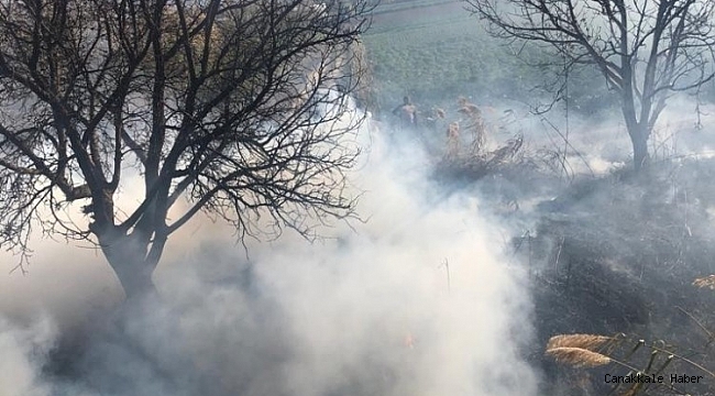 Burhaniye&#039;de arazi yangınını itfaiye söndürdü
