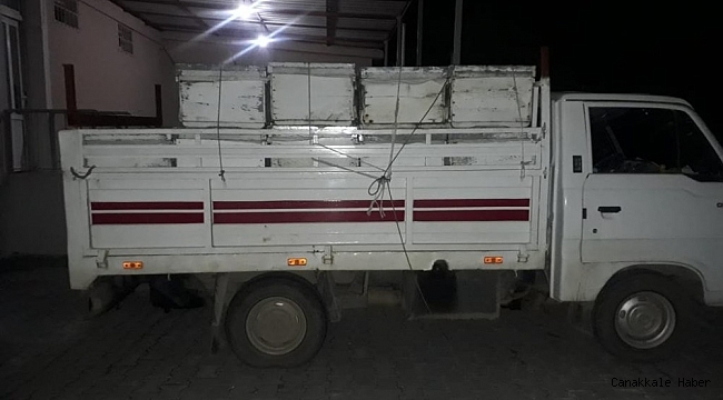 Burhaniye&#039;de arı hırsızı jandarmadan kaçamadı
