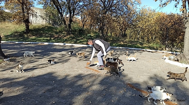 Burhaniye&#039;de Belediye Can dostlarını unutmadı