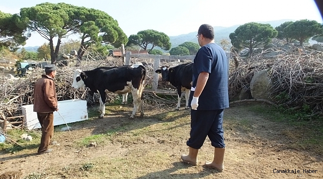 Burhaniye&#039;de bir mahallede daha kısmi karantina uygulanmaya başlandı