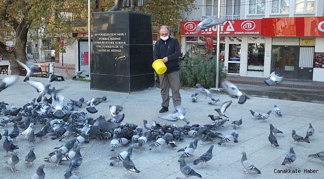 Burhaniye&#039;de güvercinleri imece ile besliyorlar