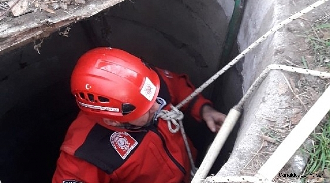 Burhaniye&#039;de kuyuya düşen köpeği itfaiye kurtardı
