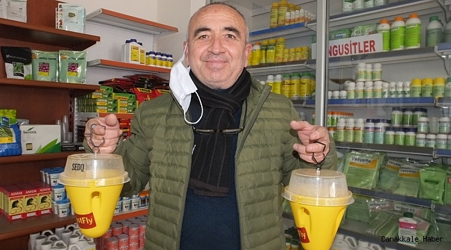 Burhaniye&#039;de zeytin sineğine karşı organik tuzaklar kullanılacak