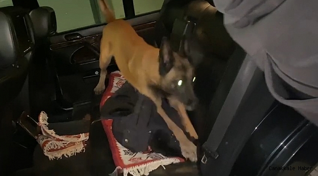 Bursa&#039;da narkotik köpeği Galya 900 gram metamfetamin buldu