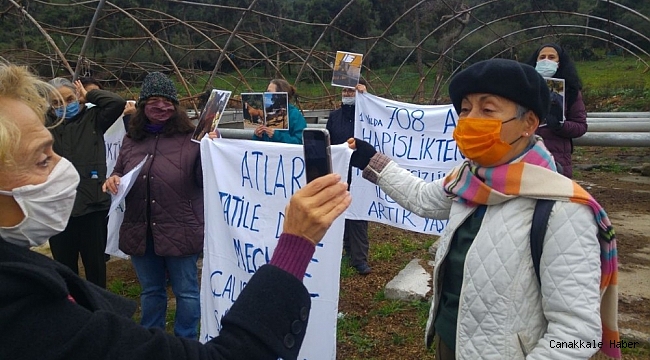 Büyükada&#039;da &quot;Ruam&quot;dan itlaf edilen atlar ölüm yıl dönümünde anıldı