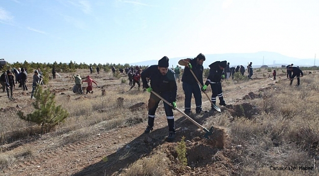 Büyükşehir Ulaşım A.Ş.&#039;den Hatay&#039;a 700 fidan