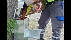 Can dostlar bize emanet