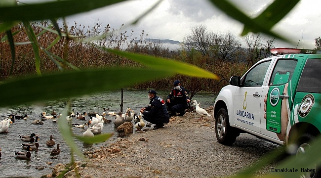 Can dostlar Jandarmaya emanet