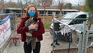 Can dostlarla bir yıl