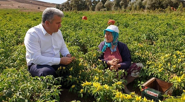 Canbey&#039;den afetzede çiftçilere güzel haber