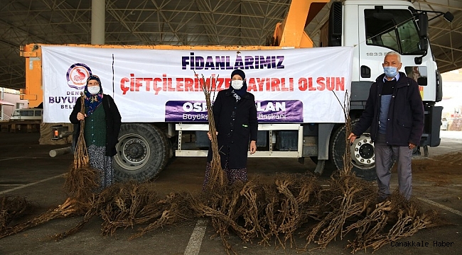 Cevizin başkenti olmak için üreticiye 40 fidan dağıtıldı