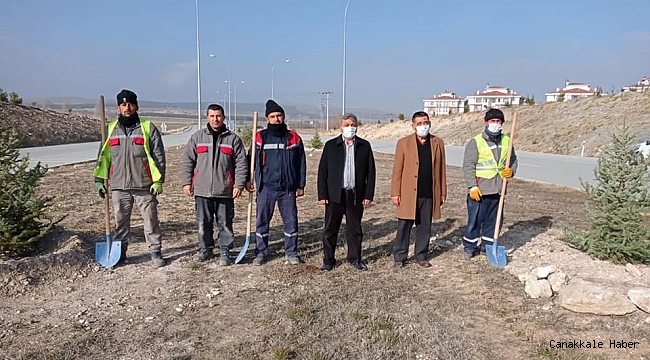 Çevre yolundaki ağaçlandırma çalışmaları sona erdi