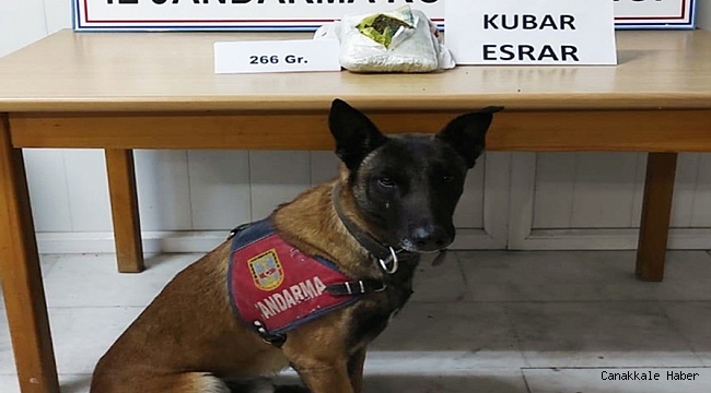 Cezaevinden izinli ayrıldı, dönüşte uyuşturucu ile yakalandı