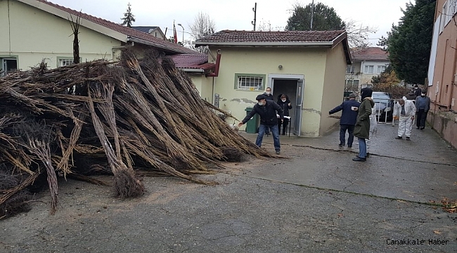 Chandler cinsi ceviz fidanlarının dağıtımı yapıldı
