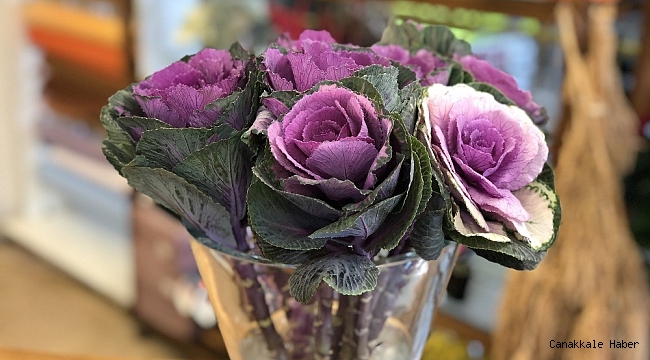 Çiçekçiler yılbaşından umutlu