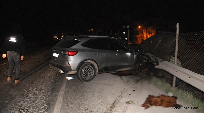 Cizre&#039;de yola çıkan koyunlar zincirleme kazaya neden oldu