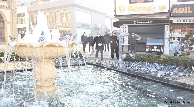 Çorum'da sokak hayvanları unutulmadı